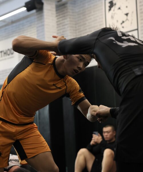 Zhai MMA 1的副本