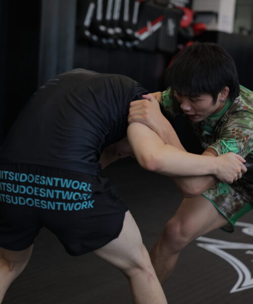 Zhai Wrestling 3的副本